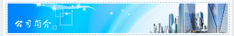 公司簡介