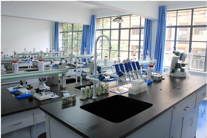 整體實(shí)驗(yàn)室-實(shí)驗(yàn)臺(tái)